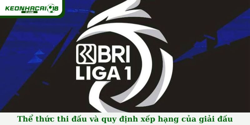 Thể thức thi đấu và quy định xếp hạng của giải đấu