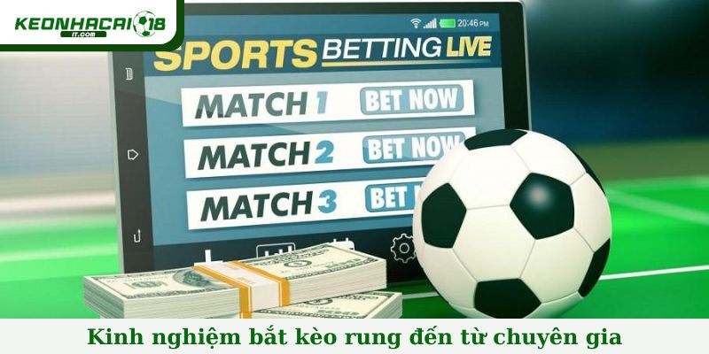 Kinh nghiệm bắt kèo rung đến từ chuyên gia